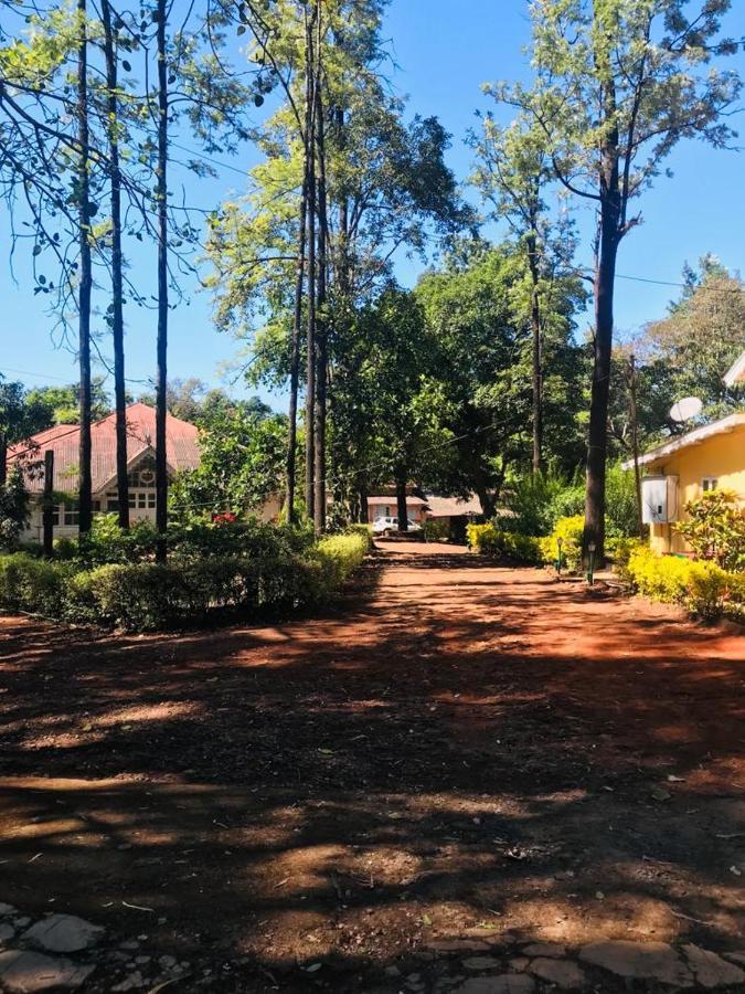 Citadel Resort Pancsgani Kültér fotó